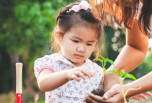 Childcare Services: How to Find a Safe and Nurturing Environment for Your Kids