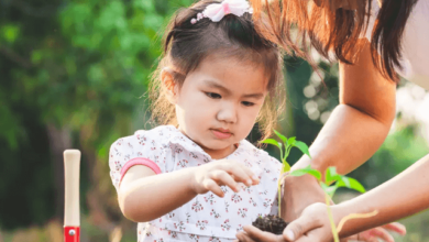 Childcare Services: How to Find a Safe and Nurturing Environment for Your Kids