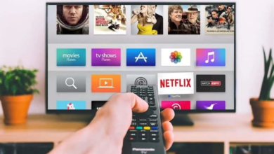 OLV Advertising: Reaching Audiences Through Online Video