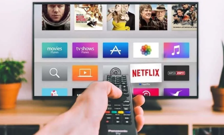 OLV Advertising: Reaching Audiences Through Online Video