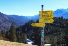 lopulgunzer usage considerations explained