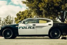 sanders law offers services